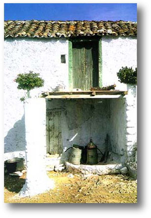 Lakonia / Apidia
